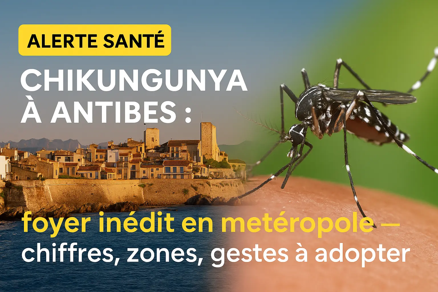 Chikungunya à Antibes : foyer inédit en métropole — chiffres, zones, gestes à adopter