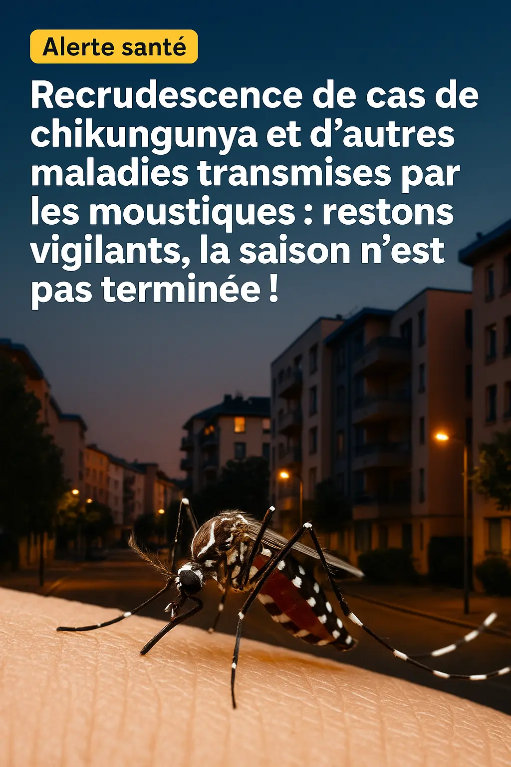 Chikungunya : recrudescence de cas — restons vigilants, la saison n’est pas terminée