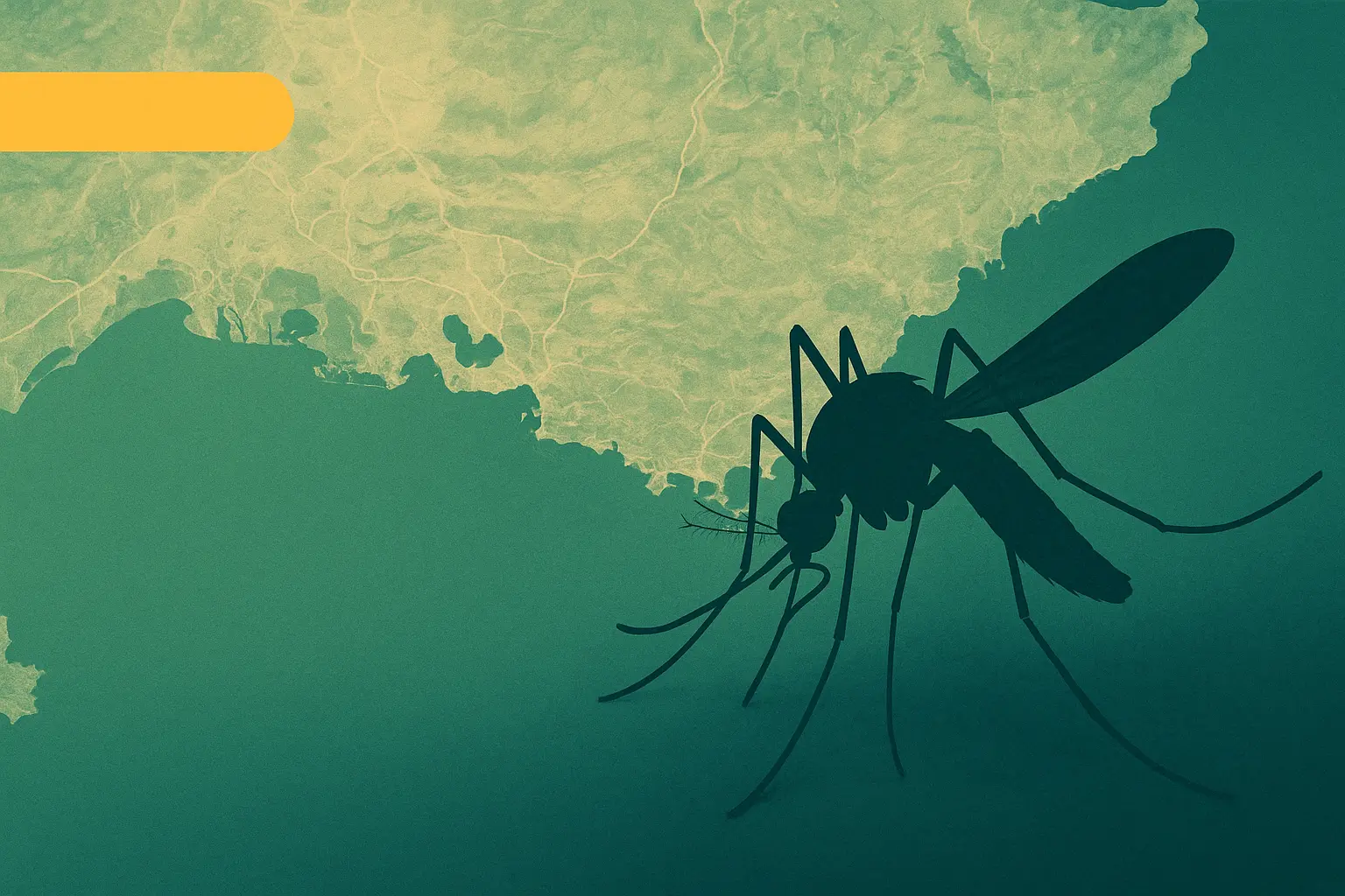 Infection à virus chikungunya : symptômes, transmission & protection en France