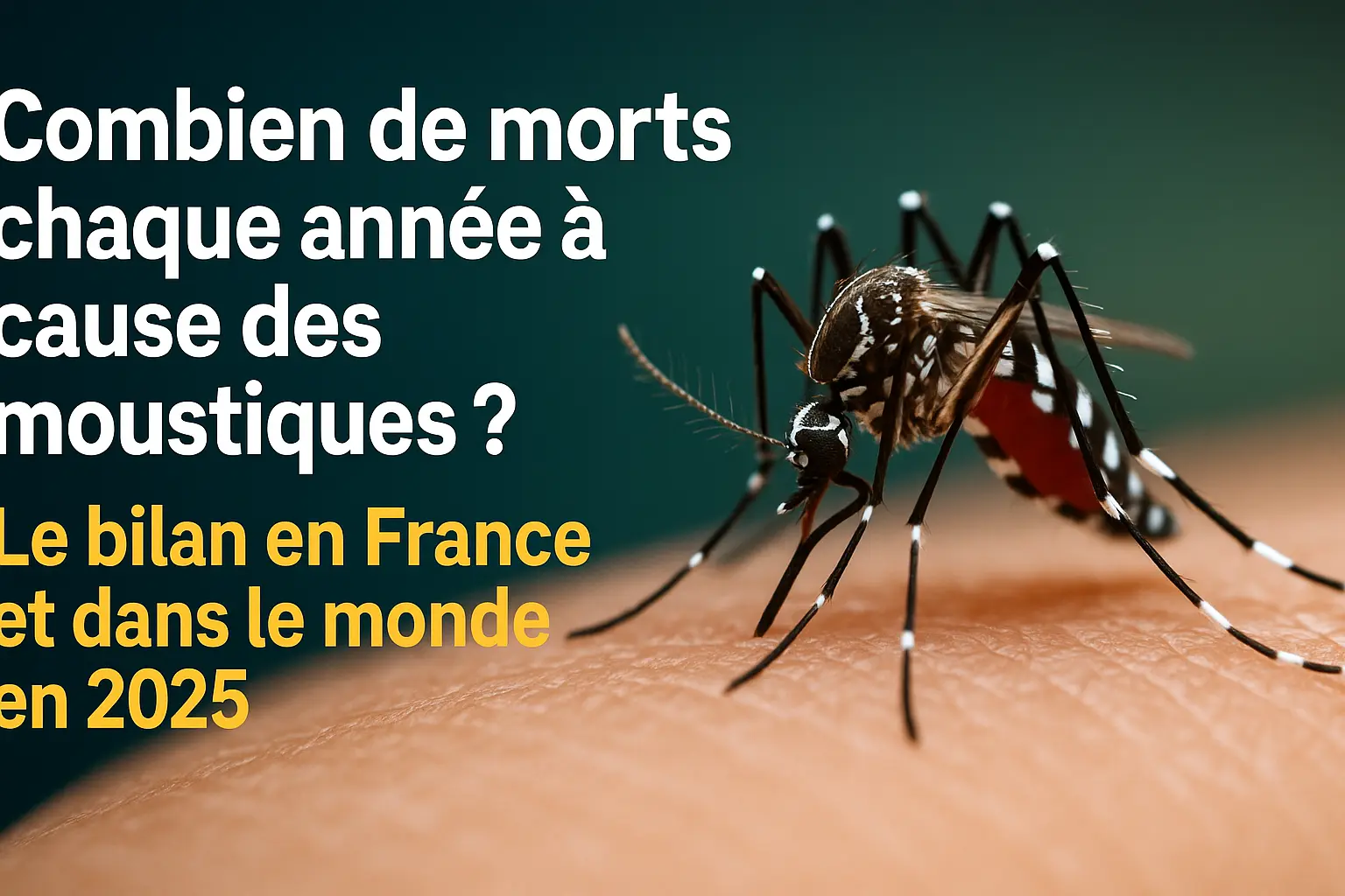 Combien de morts chaque année à cause des moustiques ? Le bilan en France et dans le monde (2025)