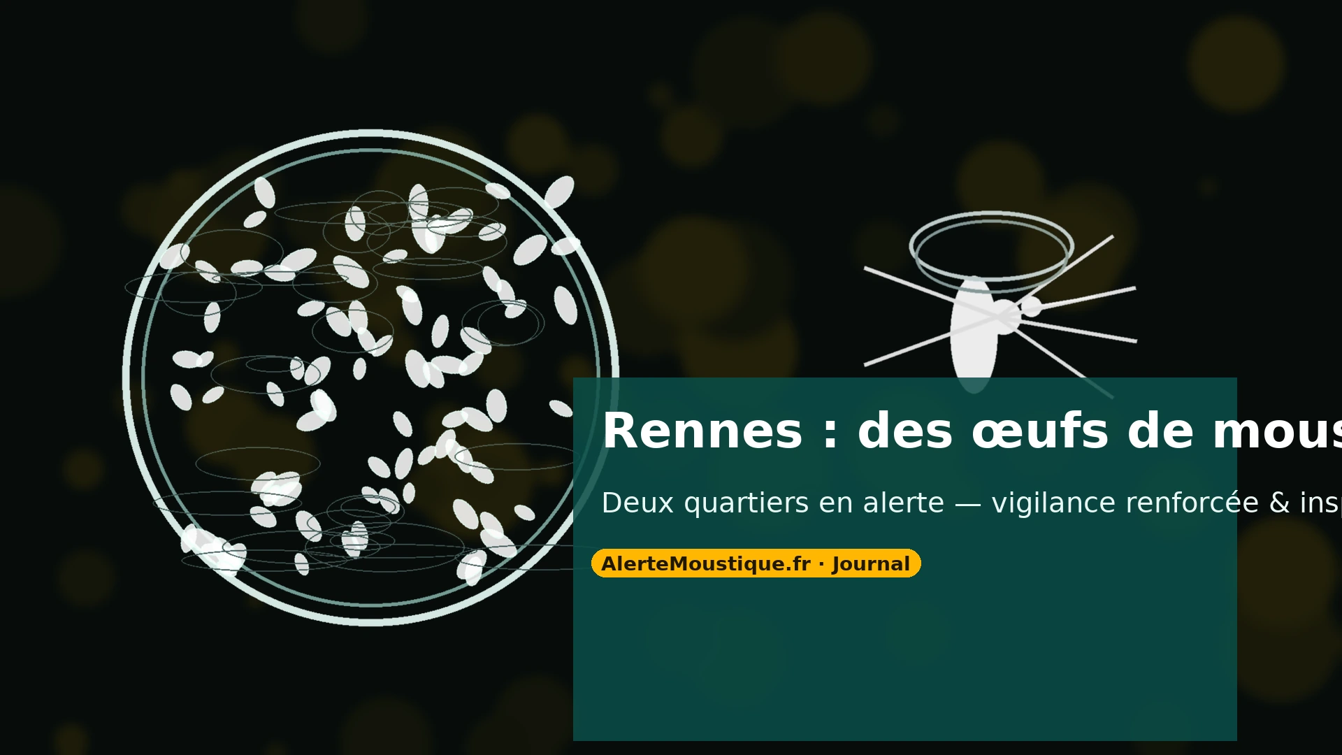 Des œufs de moustique tigre retrouvés à Rennes : deux quartiers en alerte